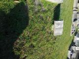 image of grave number 760388